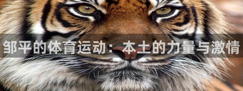 球深体育比分