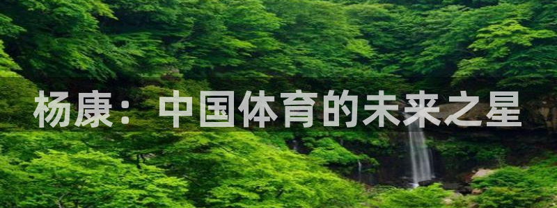 球深体育比分