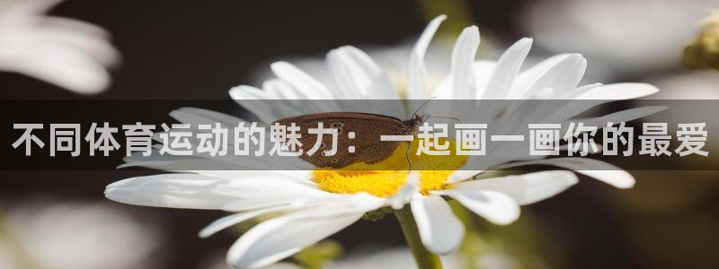 球深体育比分：不同体育运动的魅力：一起画一画你的最爱