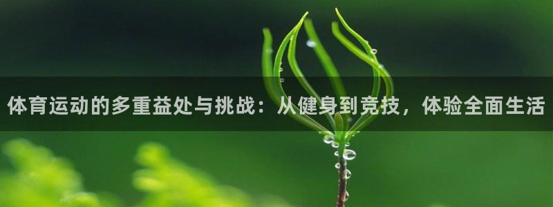 关键词