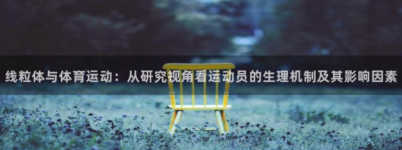 球深体育比分