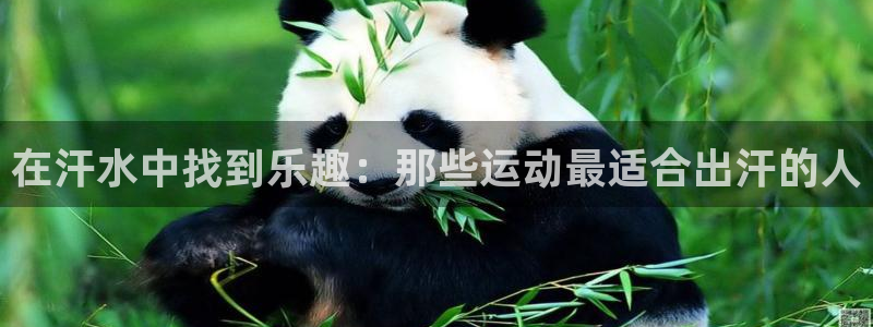 关键词