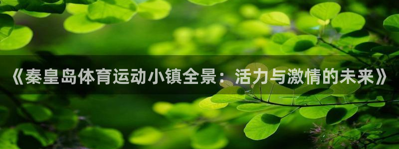 球深体育比分