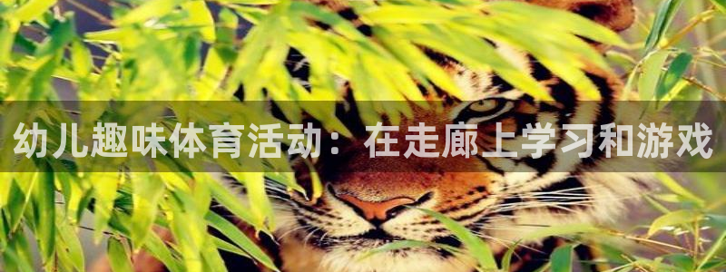 关键词